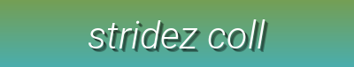 Stridez Collective | Sneakers, Casual & Women’s Shoes | Top Brand Footwear